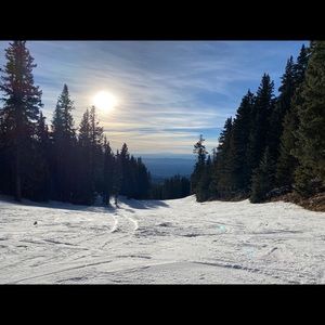 Meet your Posher, Matt